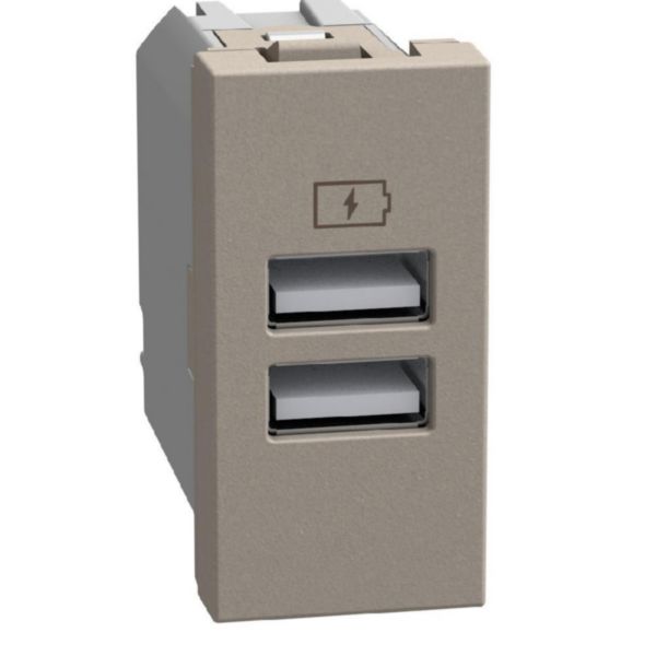 Double USB sockets - 2 x Type-A 15 W - 1 module - stone