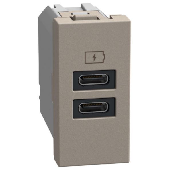 USB charger with 2 type C ports - 20W