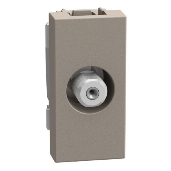Type F TV coaxial connector - 1 module - stone