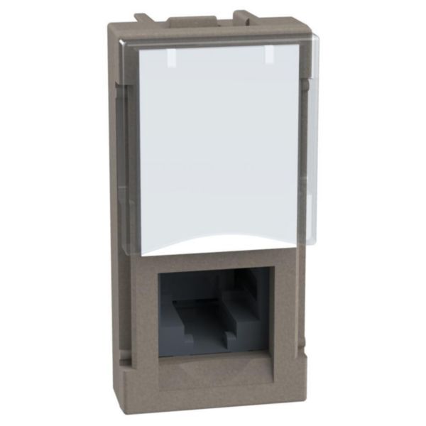 RJ45 toolless UTP cat. 6 - 1 module - stone