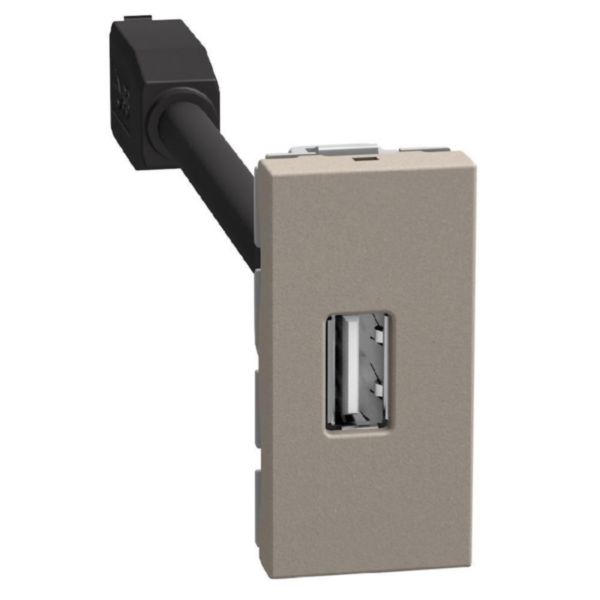 Pre-connected type A USB connector - 1 module - stone