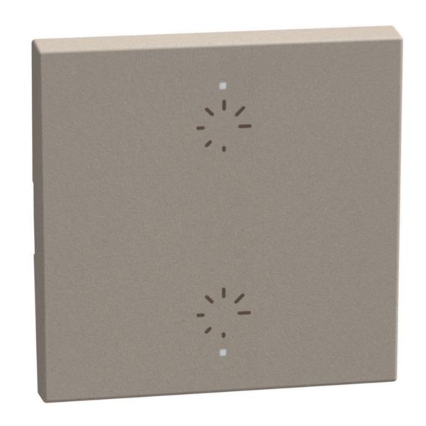 2 functions silk-screen printed Key cover with symbol 2 Dimmer - 2 modules - stone