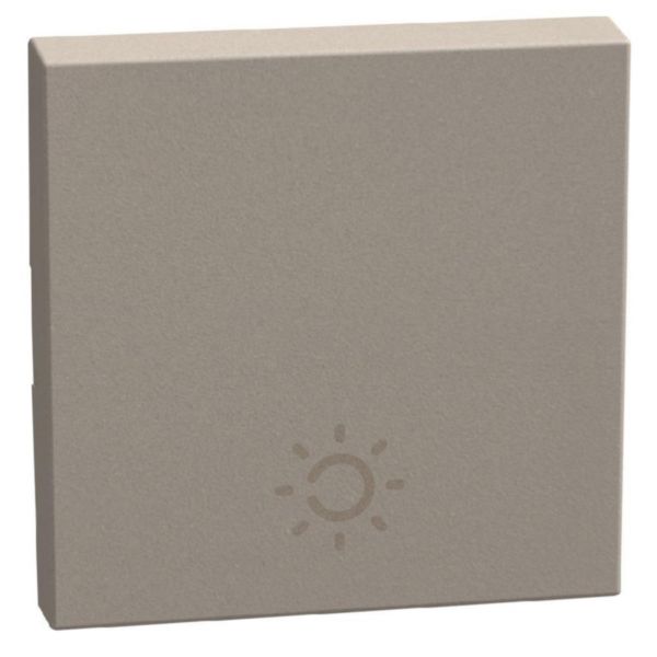 lightable key cover with lamp symbol, 2 modules stone, rocker
