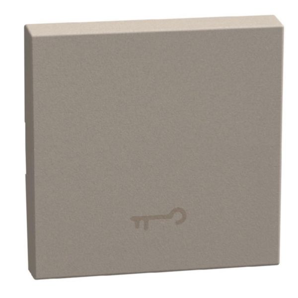 lightable key cover with key symbol, 2 modules stone, rocker
