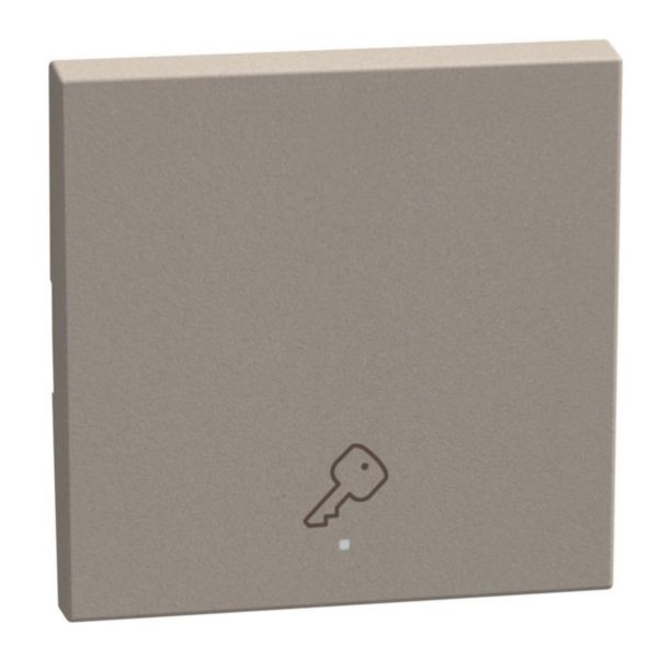 1 function silk-screen printed Key cover with symbol Key - 2 modules - stone