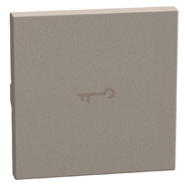 lightable key cover with key symbol, 2 modules stone, axial