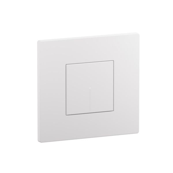 1-way switch 1P 10AX 2 modules white, rocker, lightable, automatic terminals