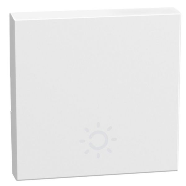 lightable key cover with lamp symbol, 2 modules white, rocker