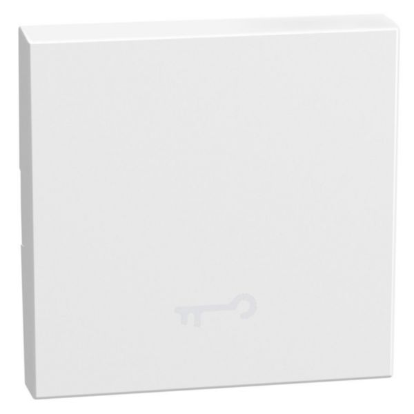 lightable key cover with key symbol, 2 modules white, rocker