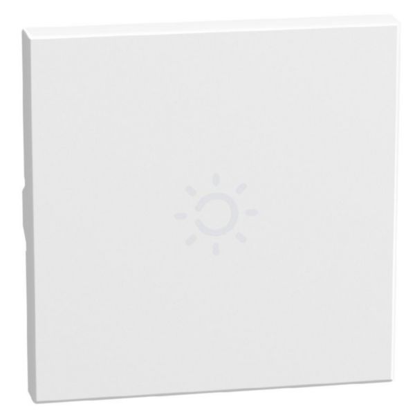lightable key cover with lamp symbol, 2 modules white, axial
