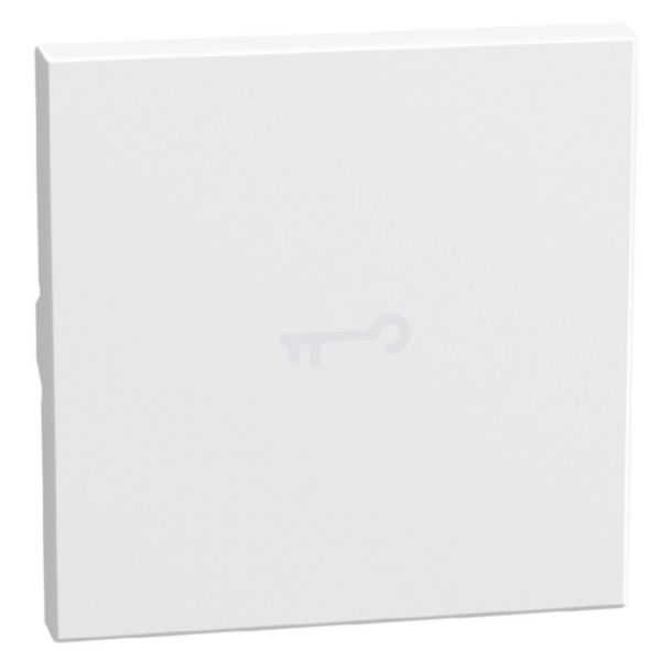 lightable key cover with key symbol, 2 modules white, axial