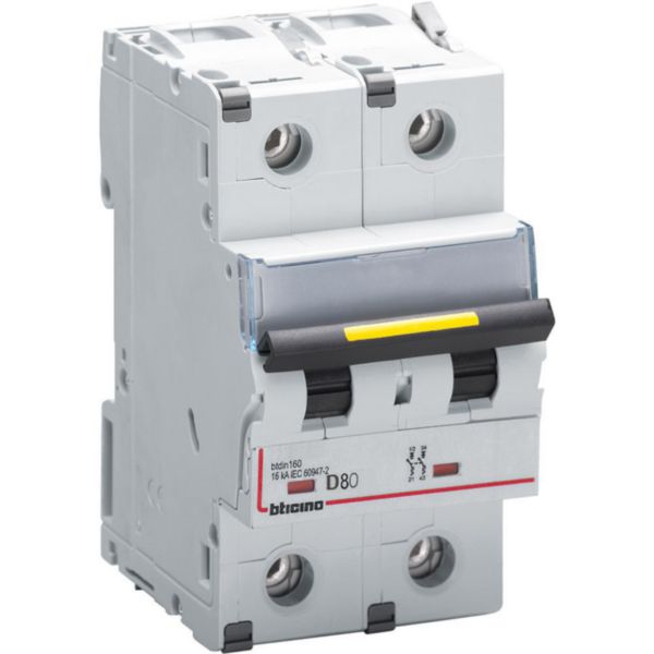BTDIN160 - 2P Mcb curve D - In= 80A - Icu= 16kA - Vn= 400Vac