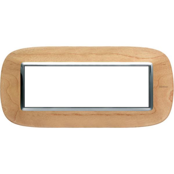 British standard elliptical cover plate 2 gangs
