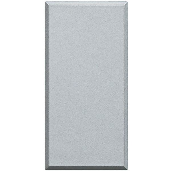Blank plate 1 module