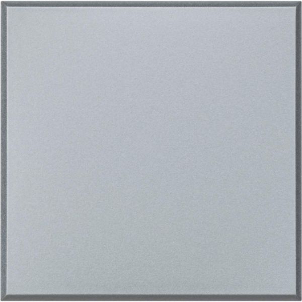 Blank plate 2 modules