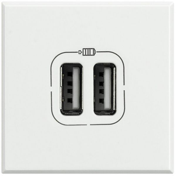 5 Vdc USB charger (with 2 USB sockets)
