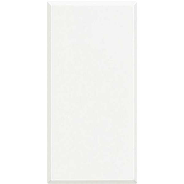 Blank plate 1 module