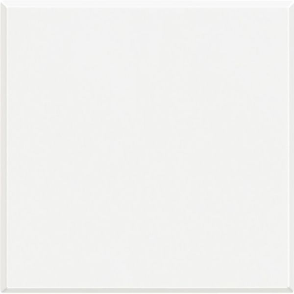 Blank plate 2 modules