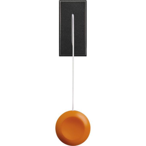 Cord pushbutton 1P NO 10 V 230 Vac