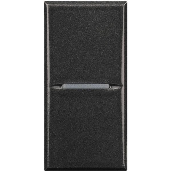 Pushbutton 2P (NO)