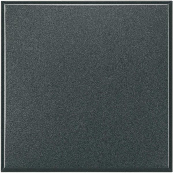 Blank plate 2 modules