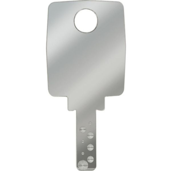 Switch 2P 16A 250 Vac with removable key in ON and OFF position - same key for all device