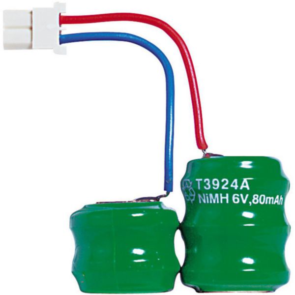 battery for removable torch