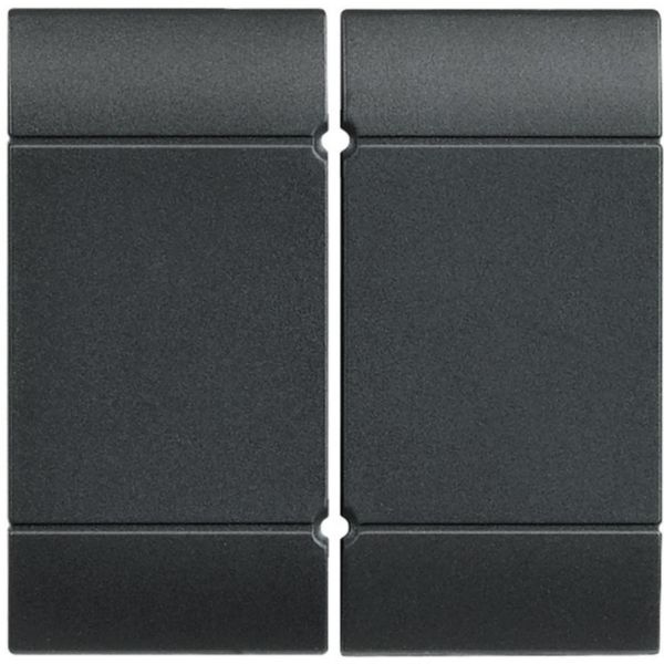 Pair of key covers 1 module for flooding detector item L/N/NT4619 - anthracite