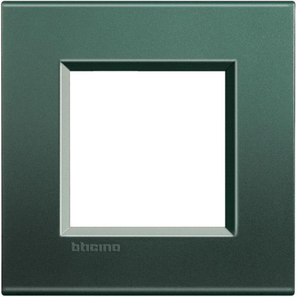 Square cover plate 2 modules - park