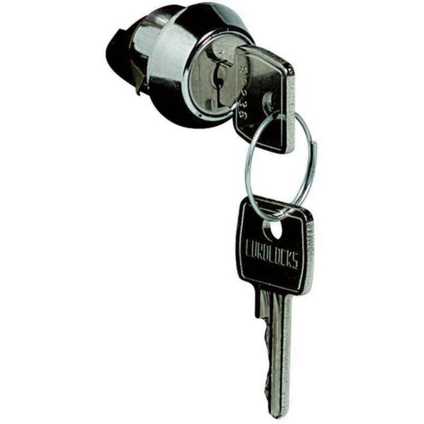 Keylock for rotary handles for M160-1600ES