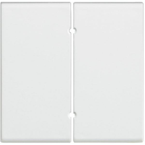 Pair of key covers 1 module for flooding detector item L/N/NT4619.